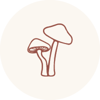 rooted_domes_shrooms_3_200px